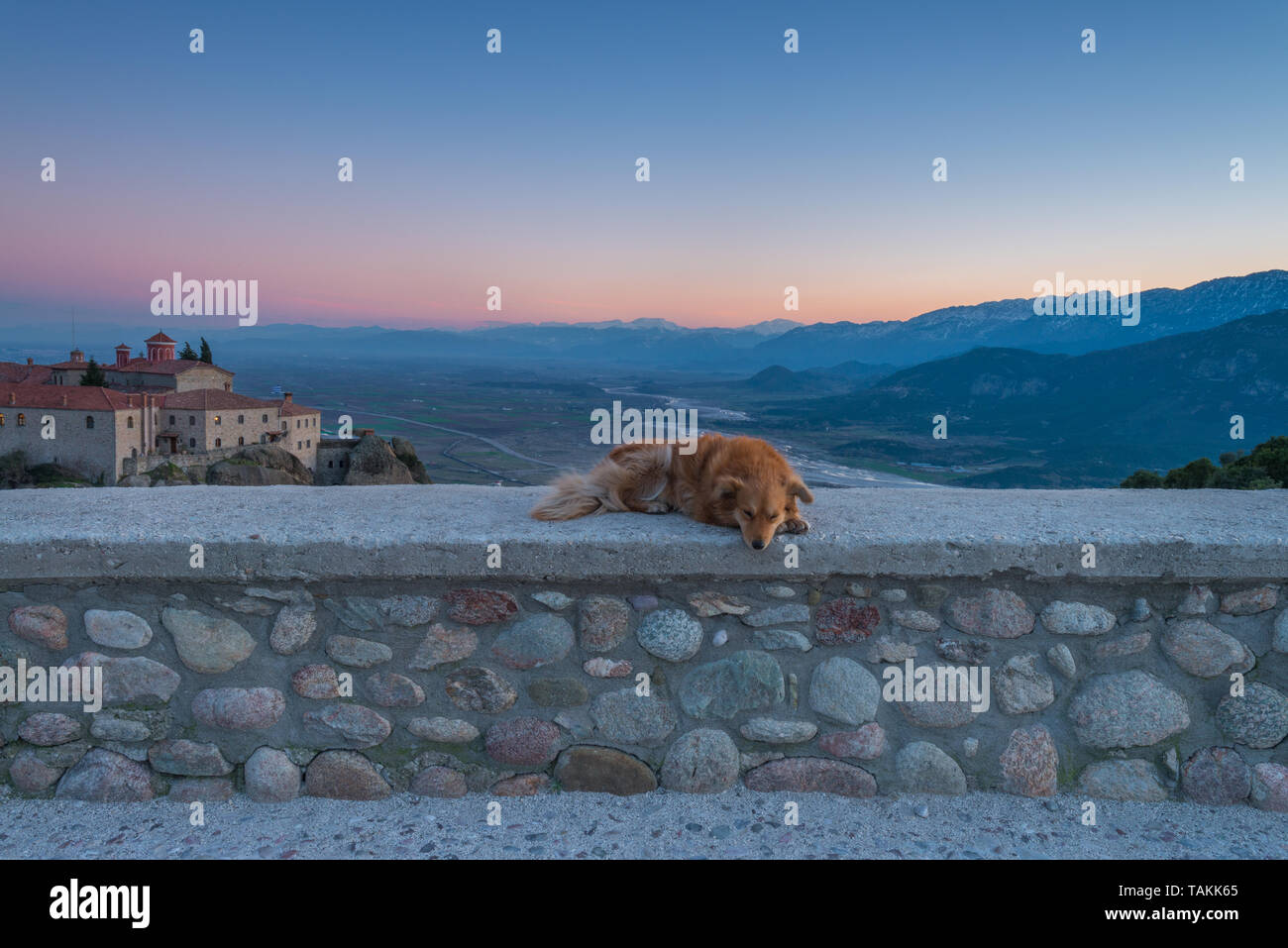 A lone, solitary dog is sleeping on a stone wall above St. Nicholas monastery in Meteora. Cuddled, friendly, sleeping dog at sunset in Greece. Stock Photo
