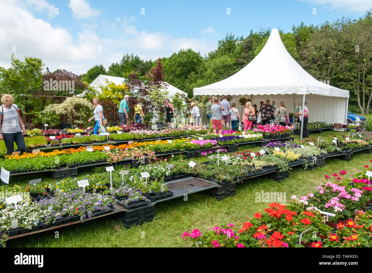 Light show 2019 hires stock photography and images Alamy