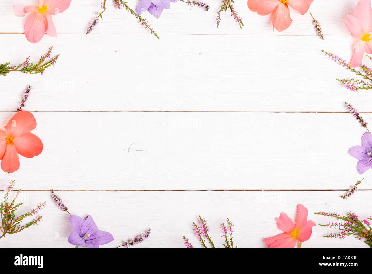 Beautiful Floral Top Border Floral Arrangement Of Violet And Orange Flowers On Isolated White Background For Design Stock Photo Alamy