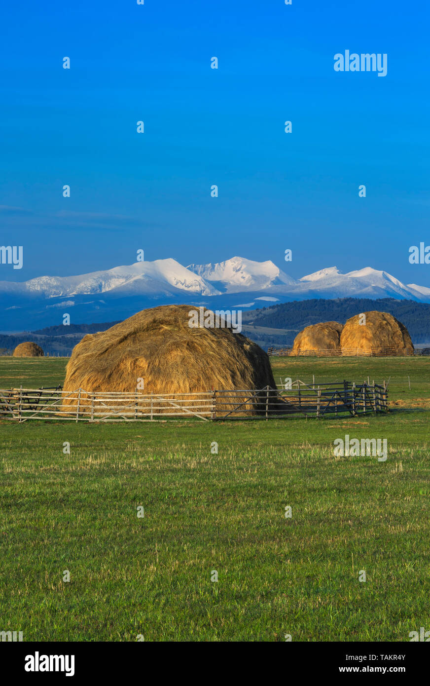 haystacks below the flint creek range near avon, montana Stock Photo ...