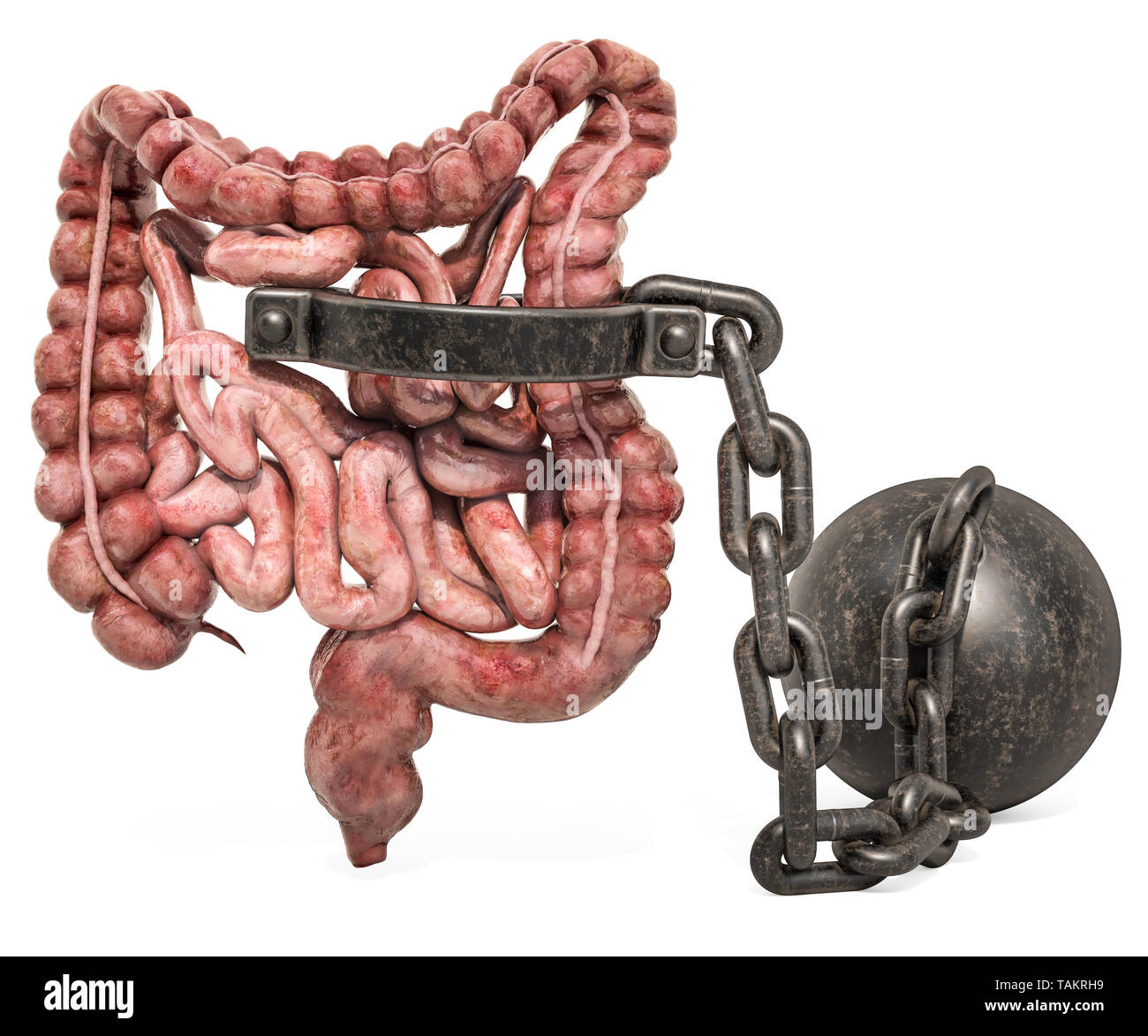 Human intestines with shackle. Abdominal Pain concept. 3D rendering isolated on white background Stock Photo