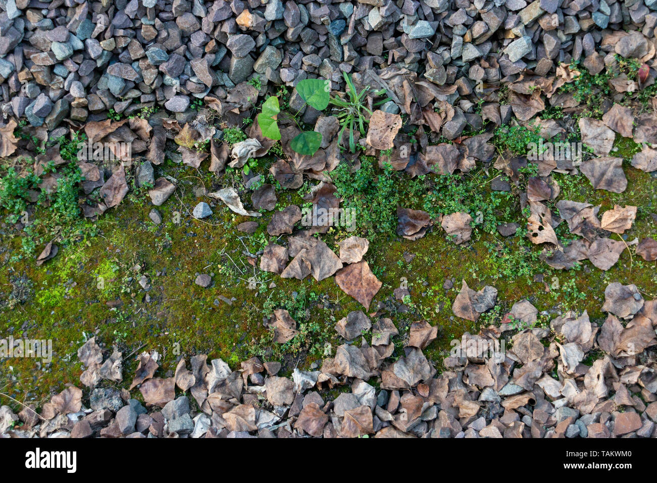 A close up view of the stone between the railway lines Stock Photo
