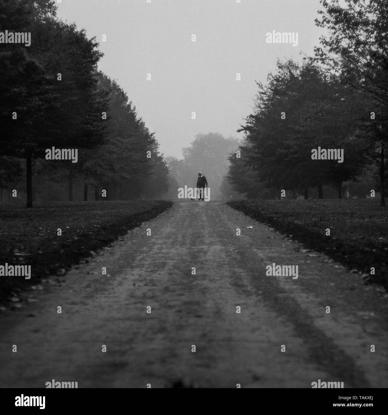 London, UK; 30/10/2016; Man with his dog taking a walk around Kensngton Gardens in a foggy day. Stock Photo