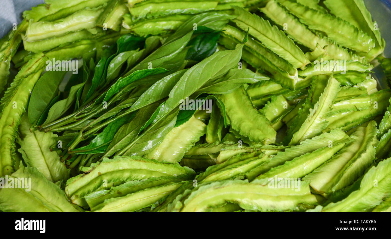 Fresh green winged bean vegetable background / Other names Goa bean