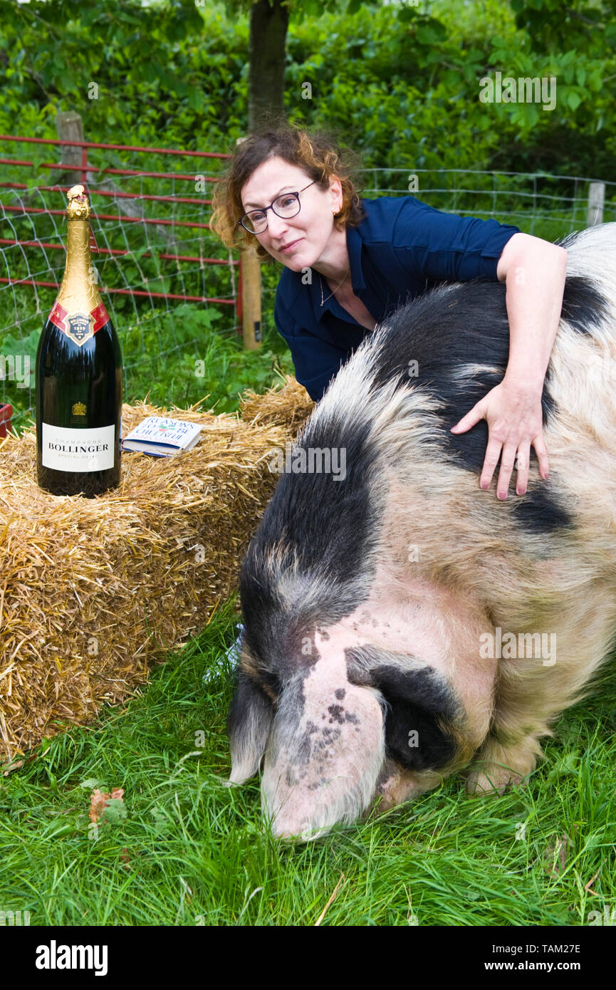Author Nina Stibbe winner of 2019 Bollinger Everyman Wodehouse Prize for comic fiction with her prize a Gloucester Old Spot boar named after her winning novel Reasons to be Cheerful at Hay Festival Hay-on-Wye Powys Wales UK Stock Photo