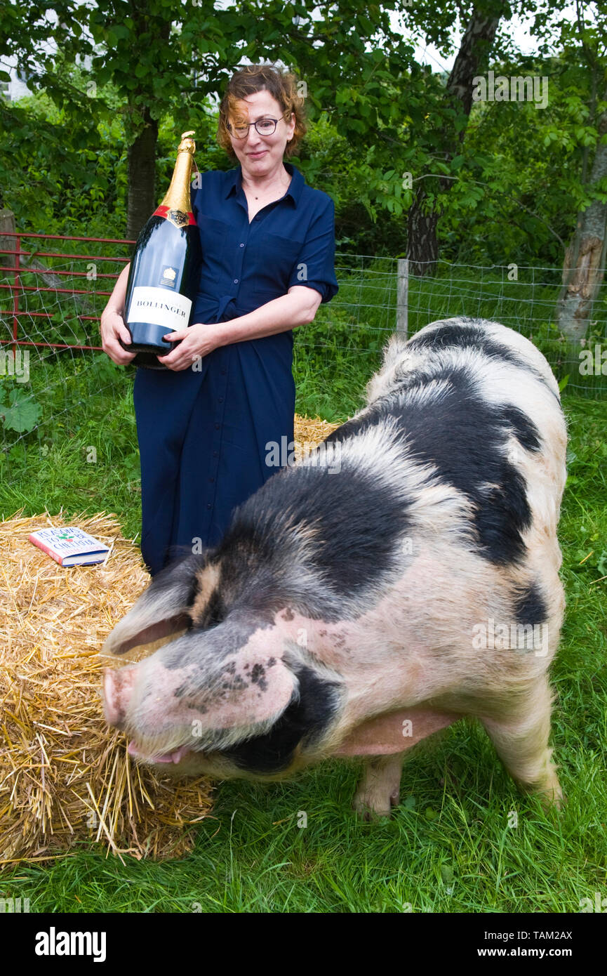 Author Nina Stibbe winner of 2019 Bollinger Everyman Wodehouse Prize for comic fiction with her prize a Gloucester Old Spot boar named after her winning novel Reasons to be Cheerful at Hay Festival Hay-on-Wye Powys Wales UK Stock Photo