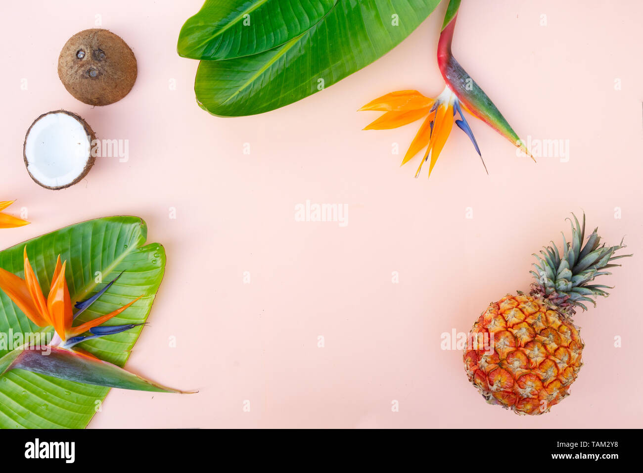 Summer flat lay scenery with tropical flowers and fruits frame on pink ...