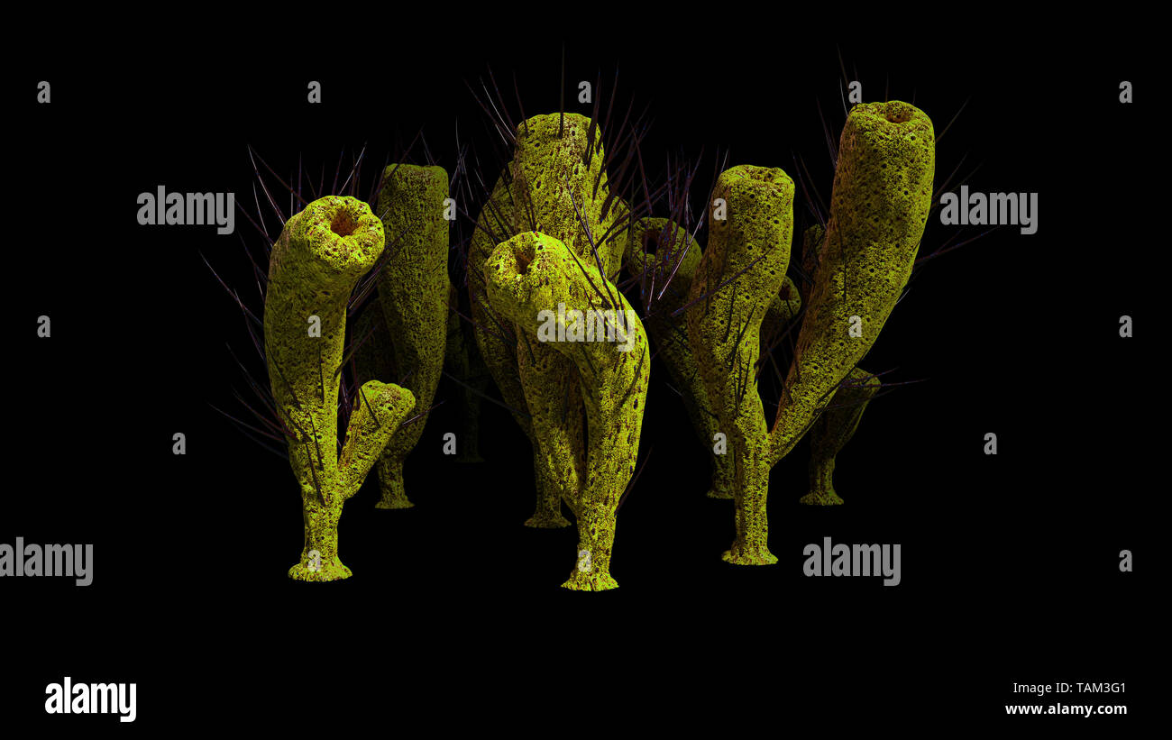 group of Pirania, sponge species from the Middle Cambrian Burgess Shale, isolated on black background (3d paleoart illustration) Stock Photo