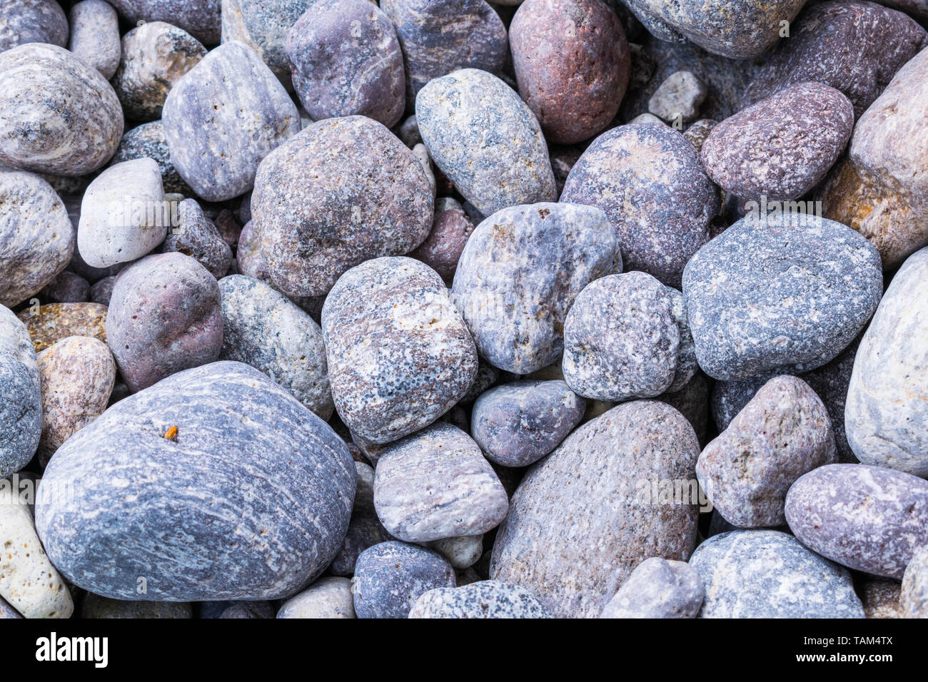 photo of rocks and pebbles Stock Photo - Alamy