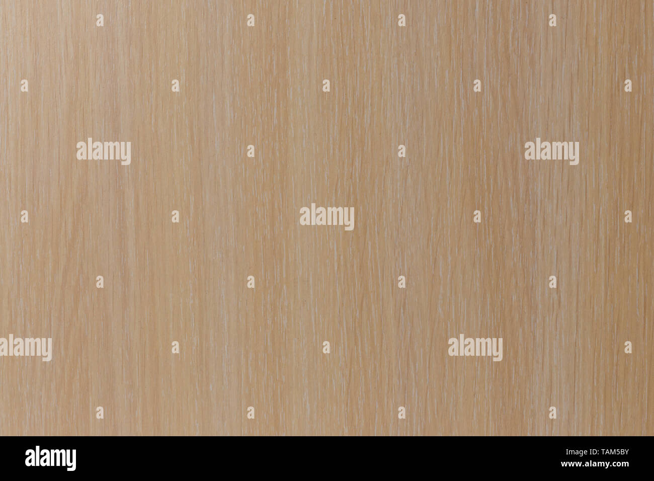 White natural wood wall background. Wood pattern and texture for