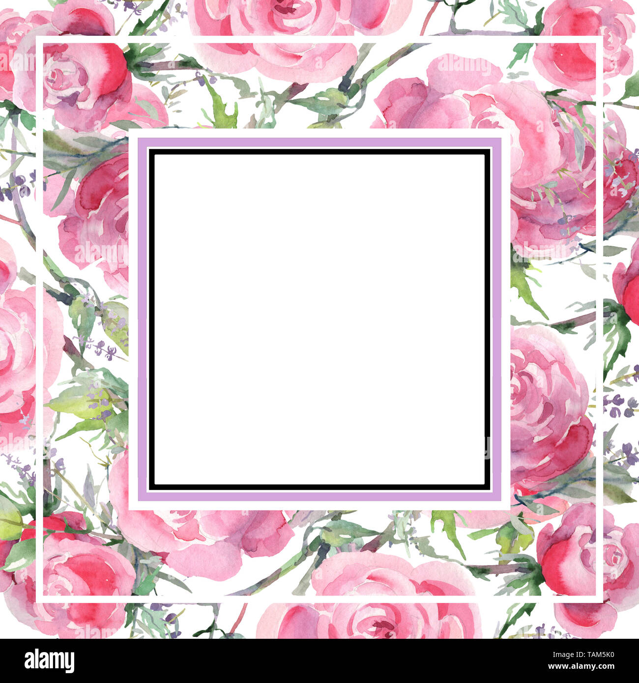 Pink Rose Bouquet Floral Botanical Flowers Wild Spring Leaf Watercolor Background Illustration Set Watercolour Drawing Fashion Aquarelle Frame Bor Stock Photo Alamy