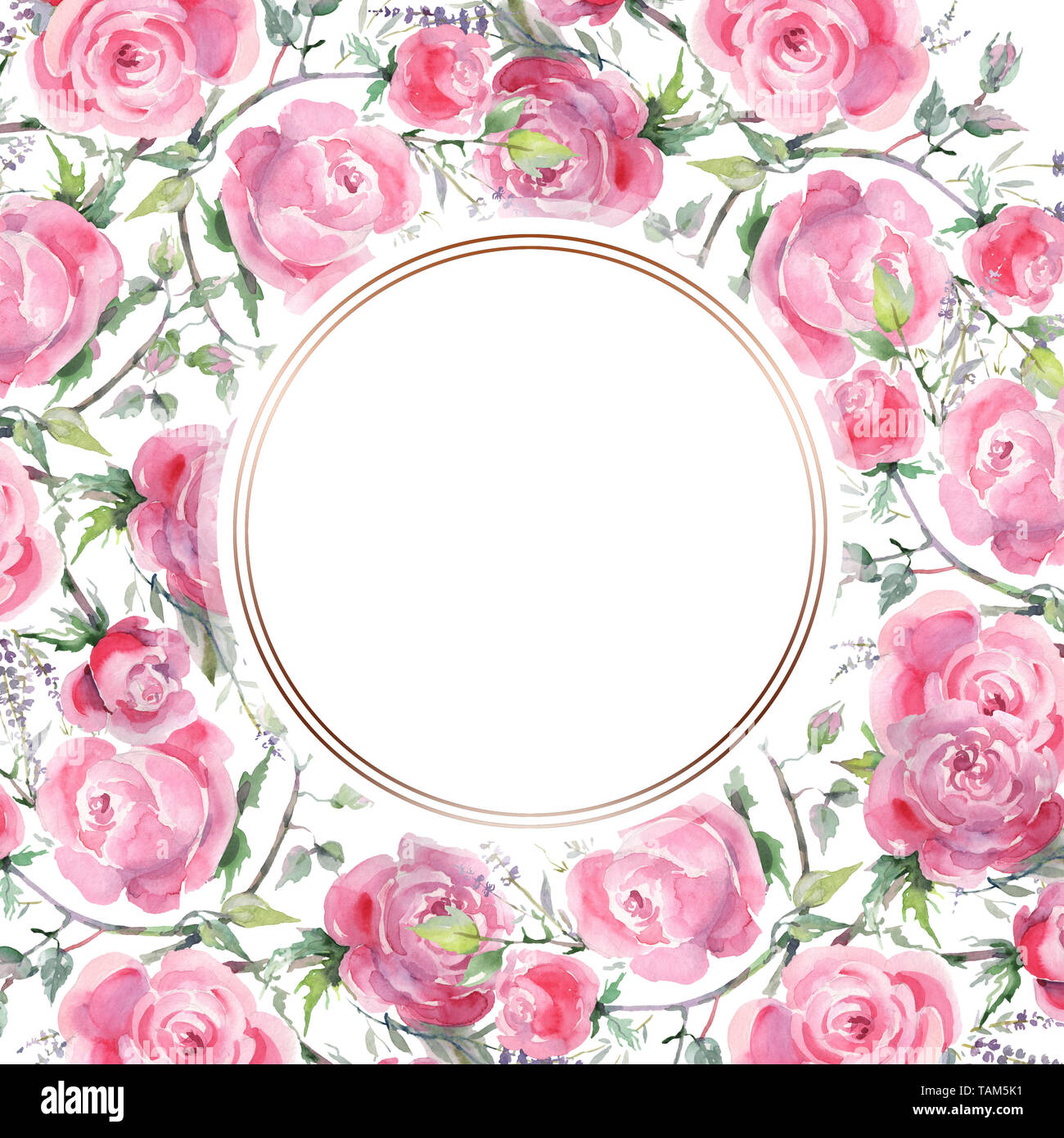 Pink Rose Bouquet Floral Botanical Flowers Wild Spring Leaf Watercolor Background Illustration Set Watercolour Drawing Fashion Aquarelle Frame Bor Stock Photo Alamy