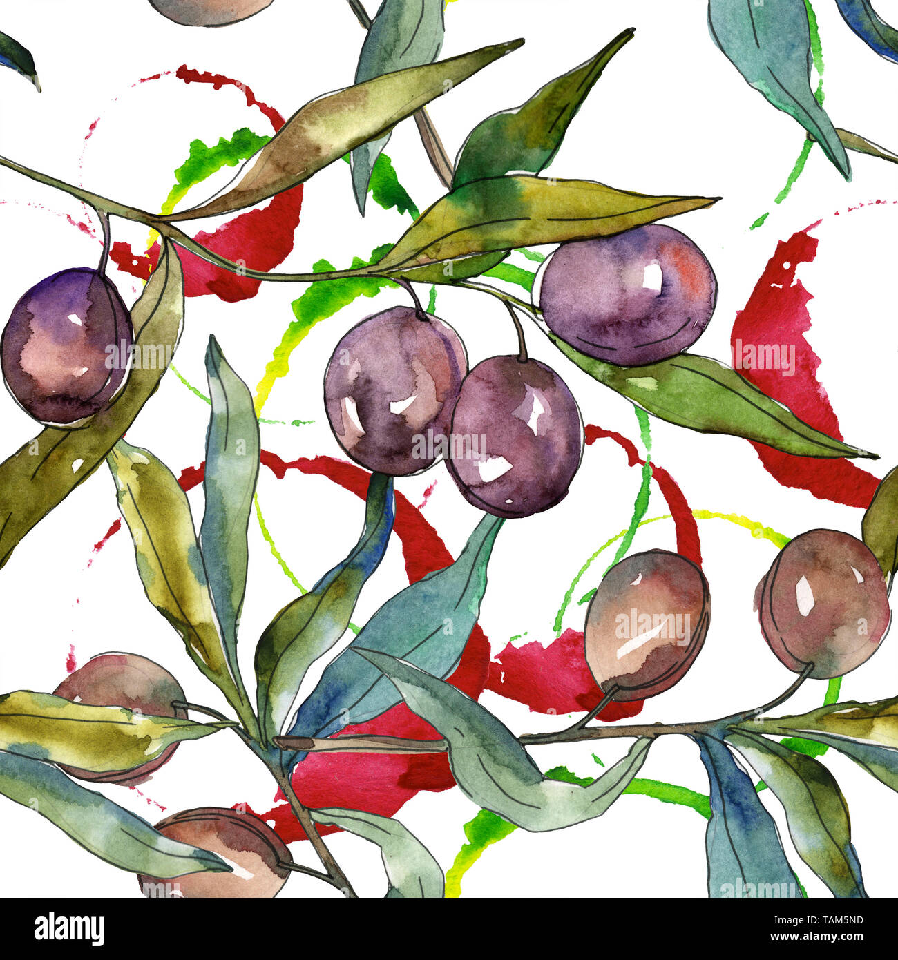 Olive branch with black and green fruit. Watercolor background ...