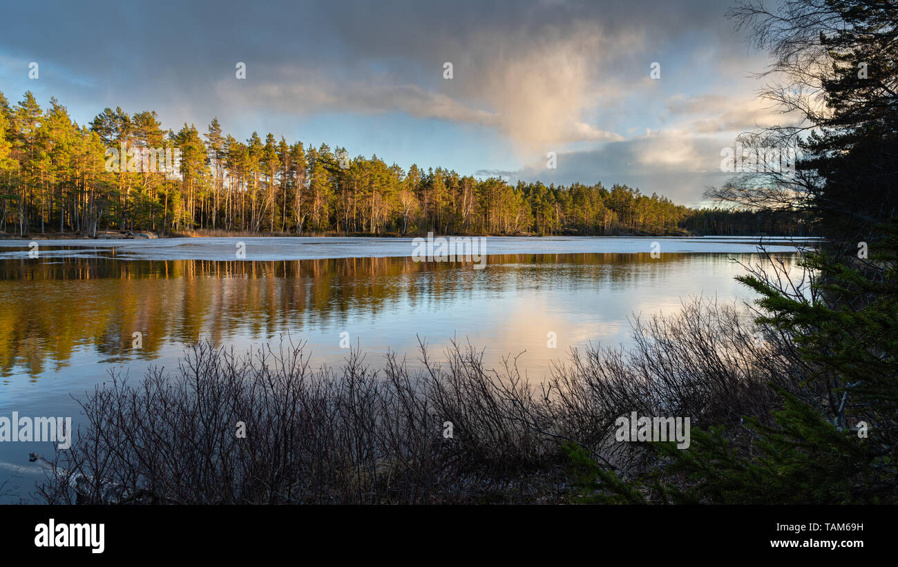 Calm forest lake pine hi-res stock photography and images - Alamy