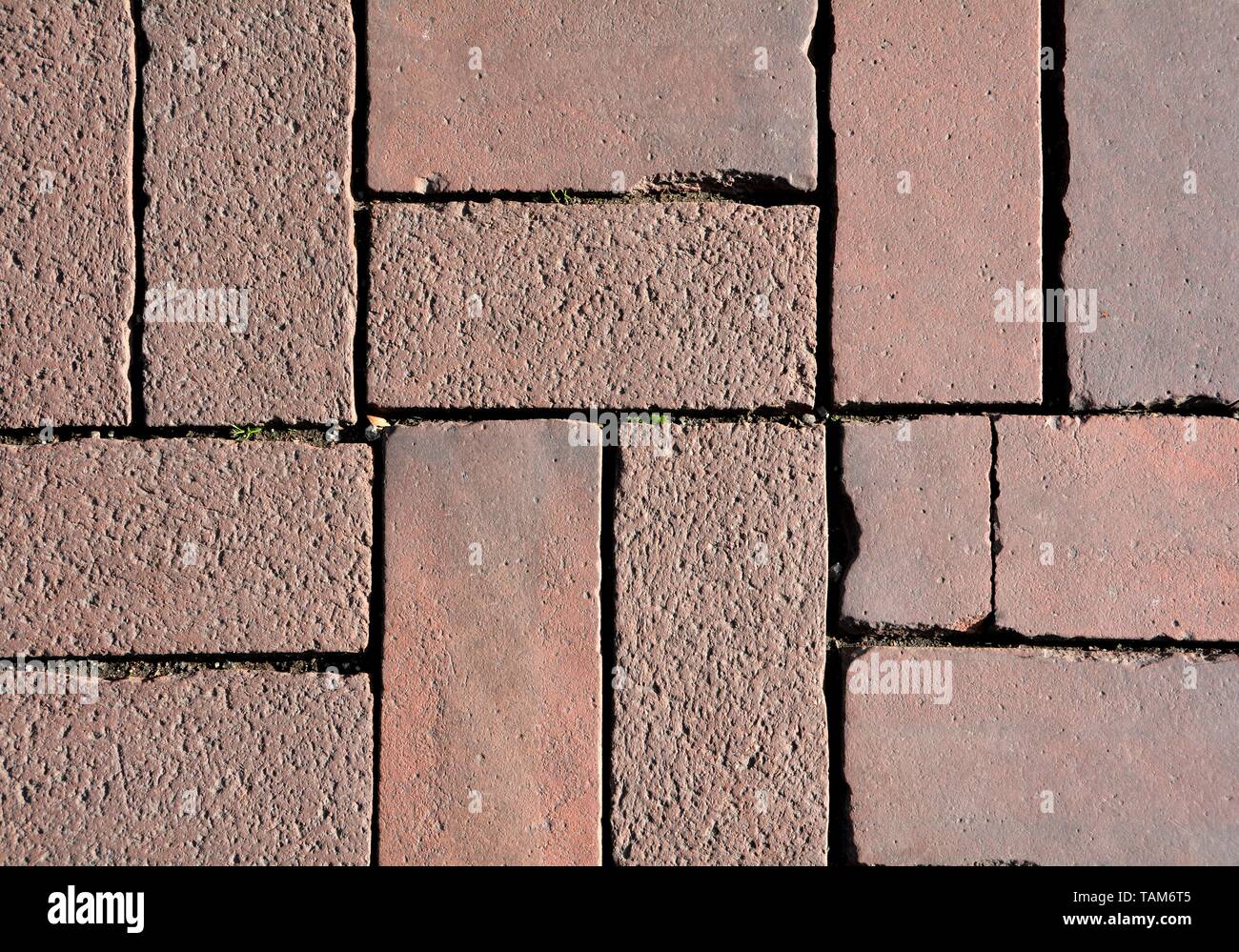 Paving stones on a street Stock Photo