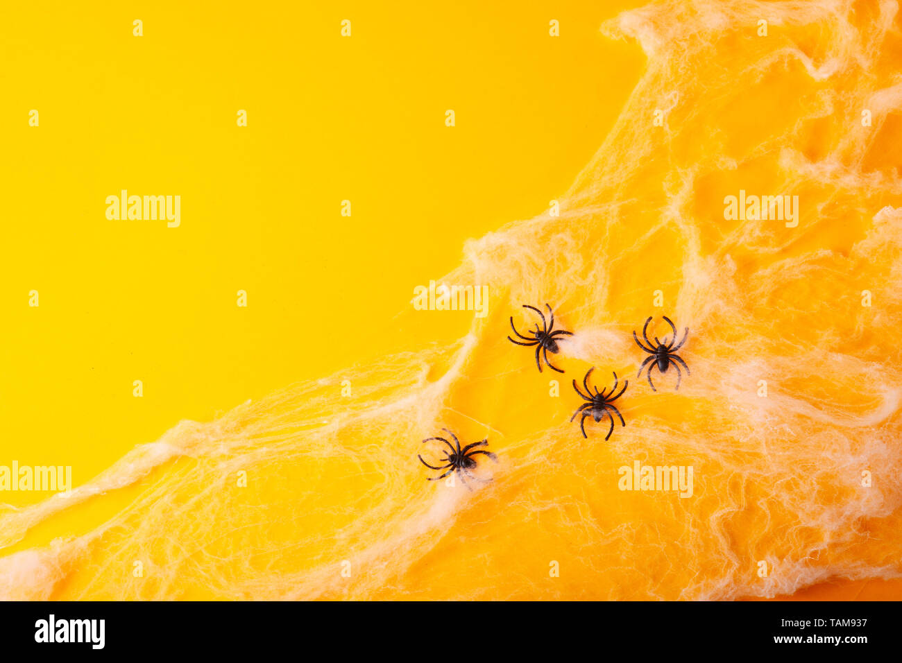 Halloween flat lay scene on orange background with spiders in net Stock ...