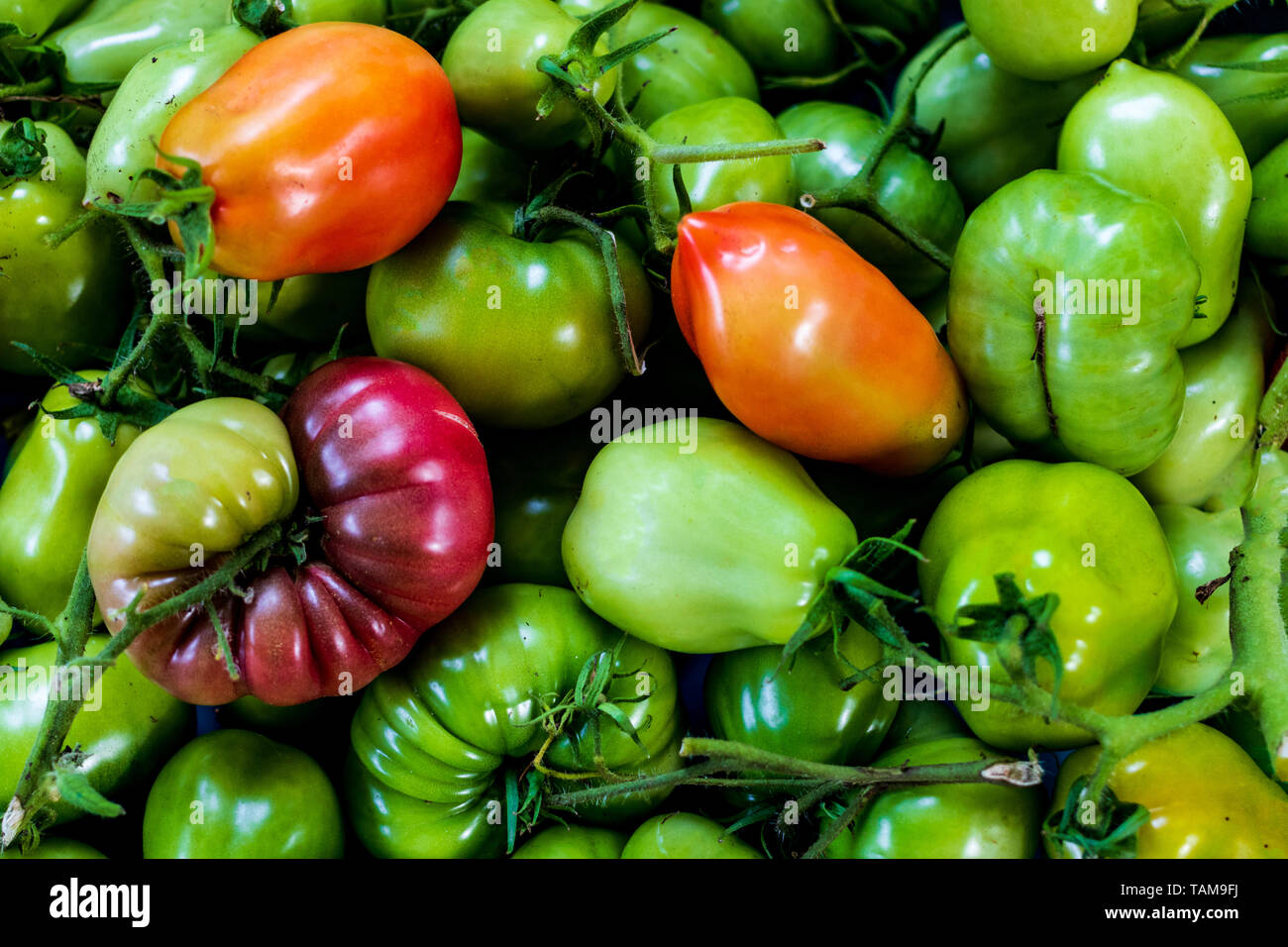 Pile of various tomatoes with both ripe and unripe Stock Photo - Alamy