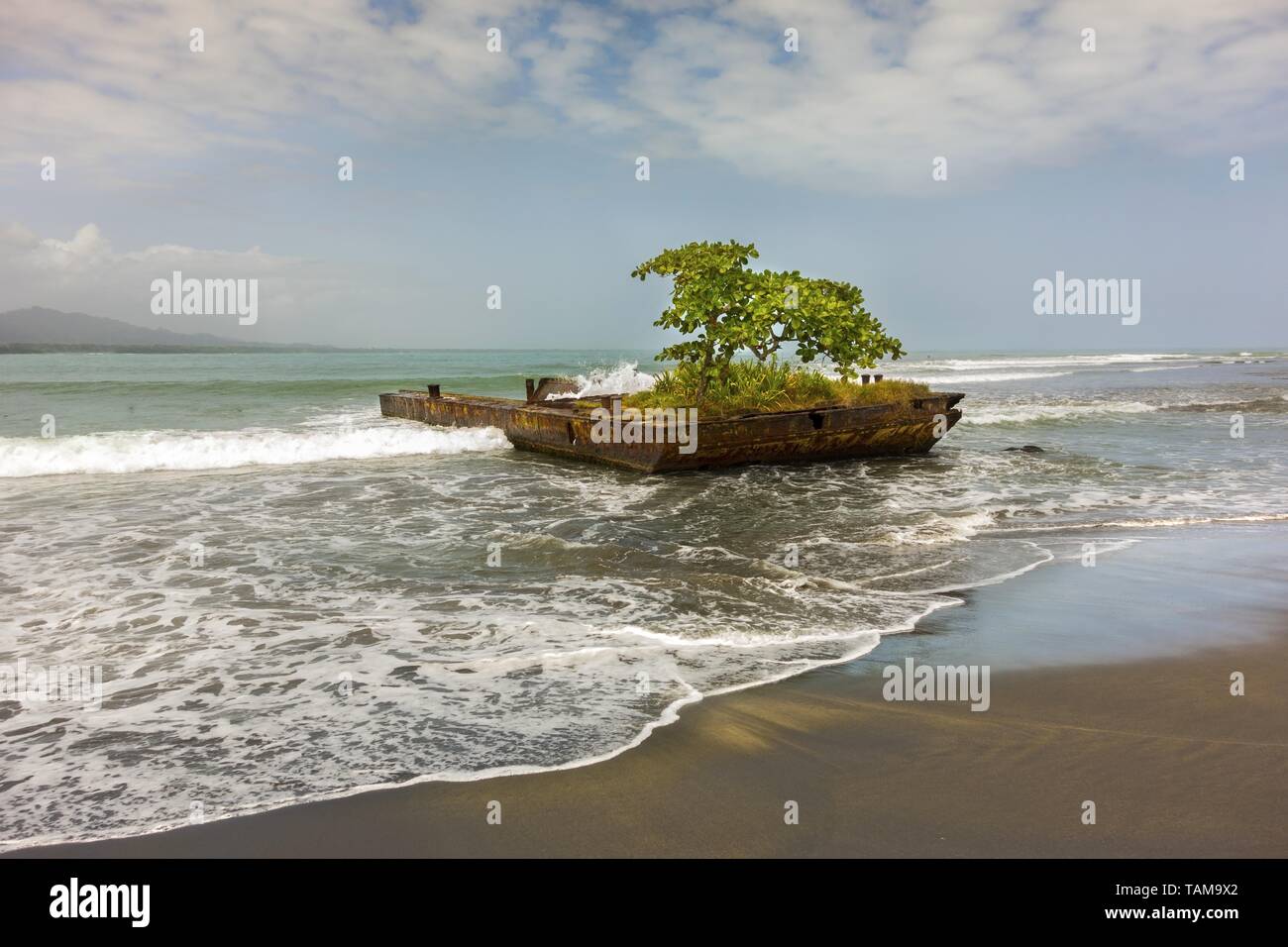 Isolated Tree growing on old rusted boat dock and Caribbean Sea Tropical Beach Detail in Town of Puerto Viejo de Talamanca, Costa Rica Limon Province Stock Photo