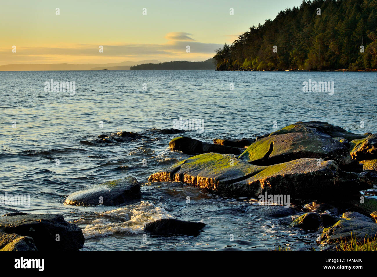 A morning light landscape image along the rocky shore of Vancouver Island British Columbia Canada. Stock Photo