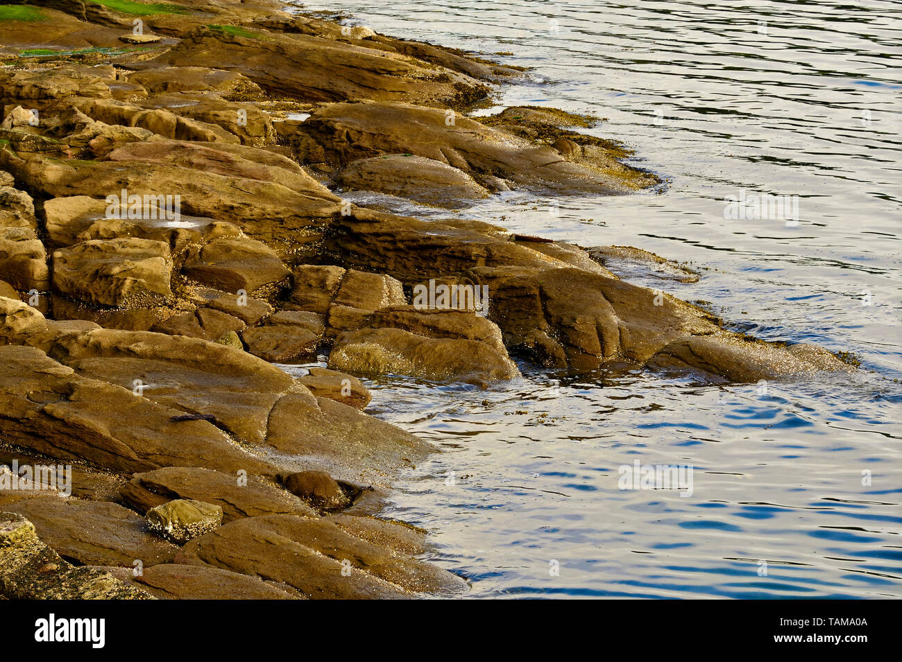 A rocky shore line on a bright sunny day on Vancouver Island British Columbia Canada Stock Photo