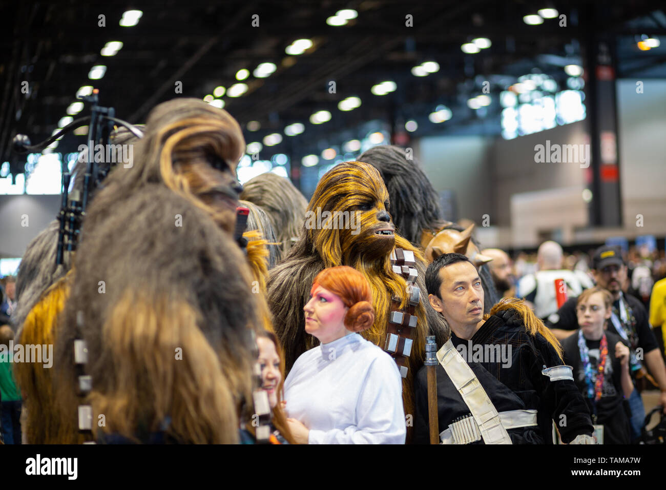 Star Wars fans dressed up as Chewbacca at Star Wars Celebration 2019 - Chicago, IL Stock Photo