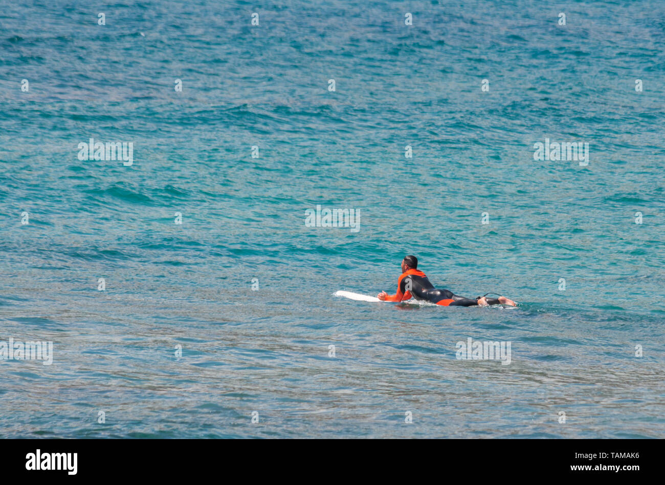 surfer in the sea waiting for the waves in a windy and sunny day Stock Photo