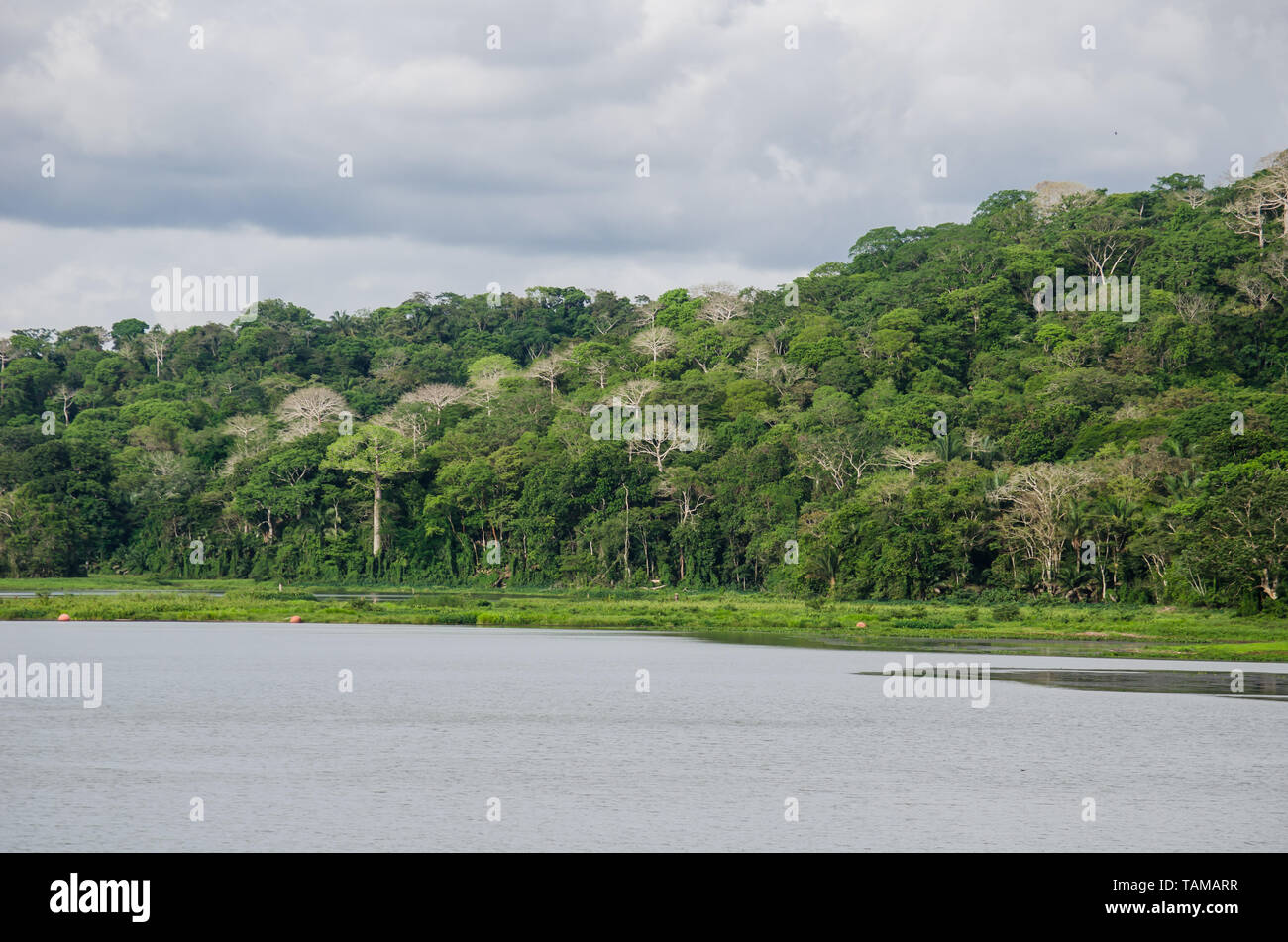 The Chagres River and the Soberania National Park in the distance Stock Photo