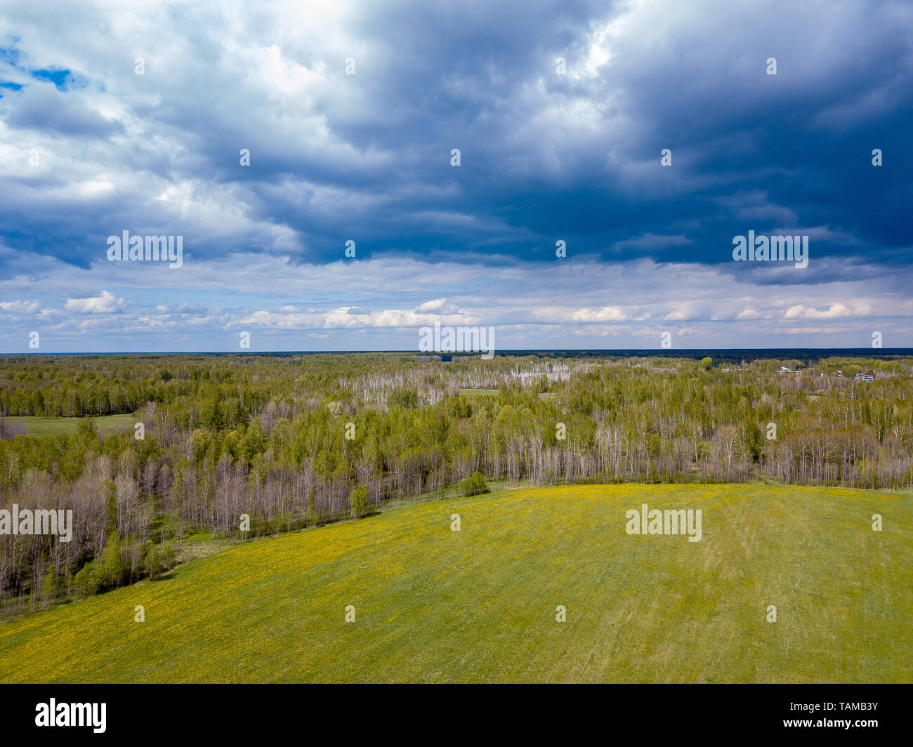 Aerial view of a landscape with green fields and forest under gray ...