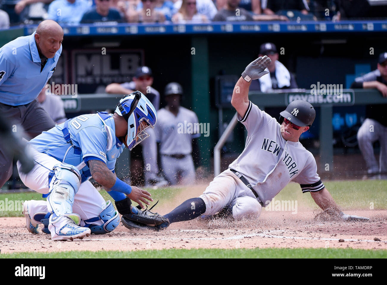 190525 hires stock photography and images Alamy