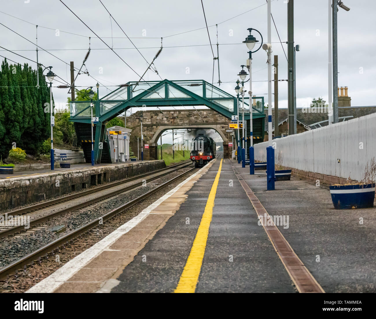 Drem Station, East Lothian, Scotland, United Kingdom, 27th May 2019. The Flying Scotsman steam locomotive returns South after its tours of Scotland, passing through the station early at 6.30 am Stock Photo