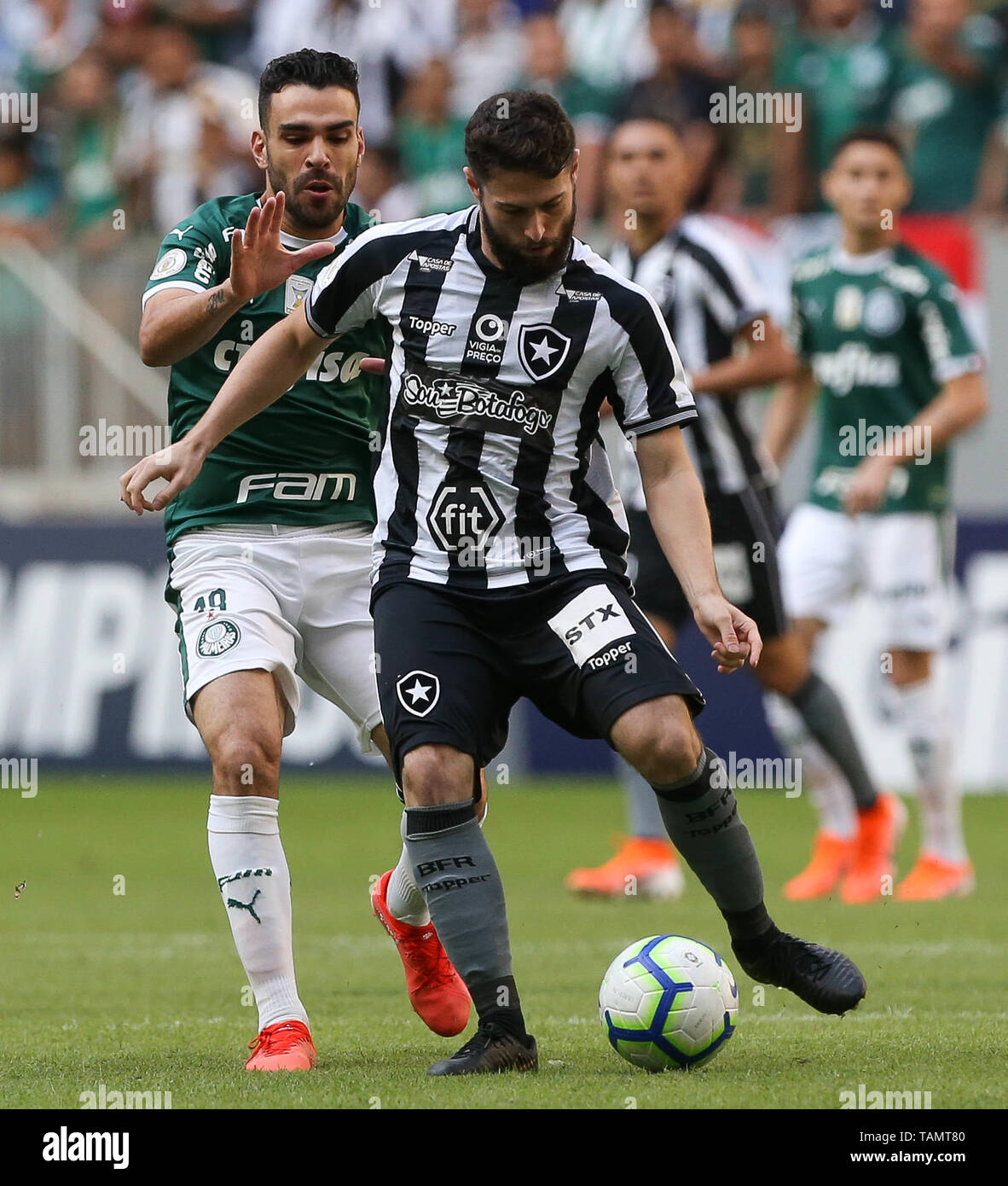 Botafogo x Palmeiras: informações, estatísticas e curiosidades – Palmeiras