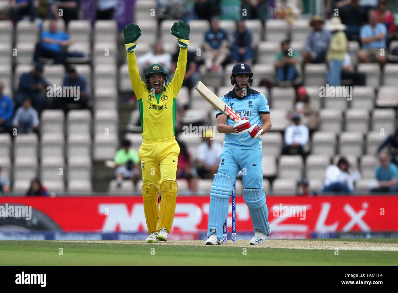 Australia wicket keeper alex carey hires stock photography and images Alamy