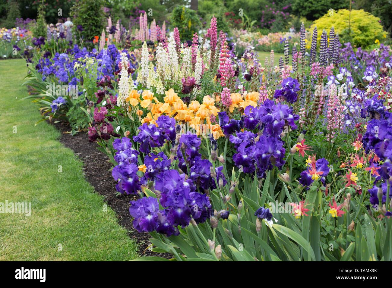 Schreiners iris gardens hi-res stock photography and images - Alamy