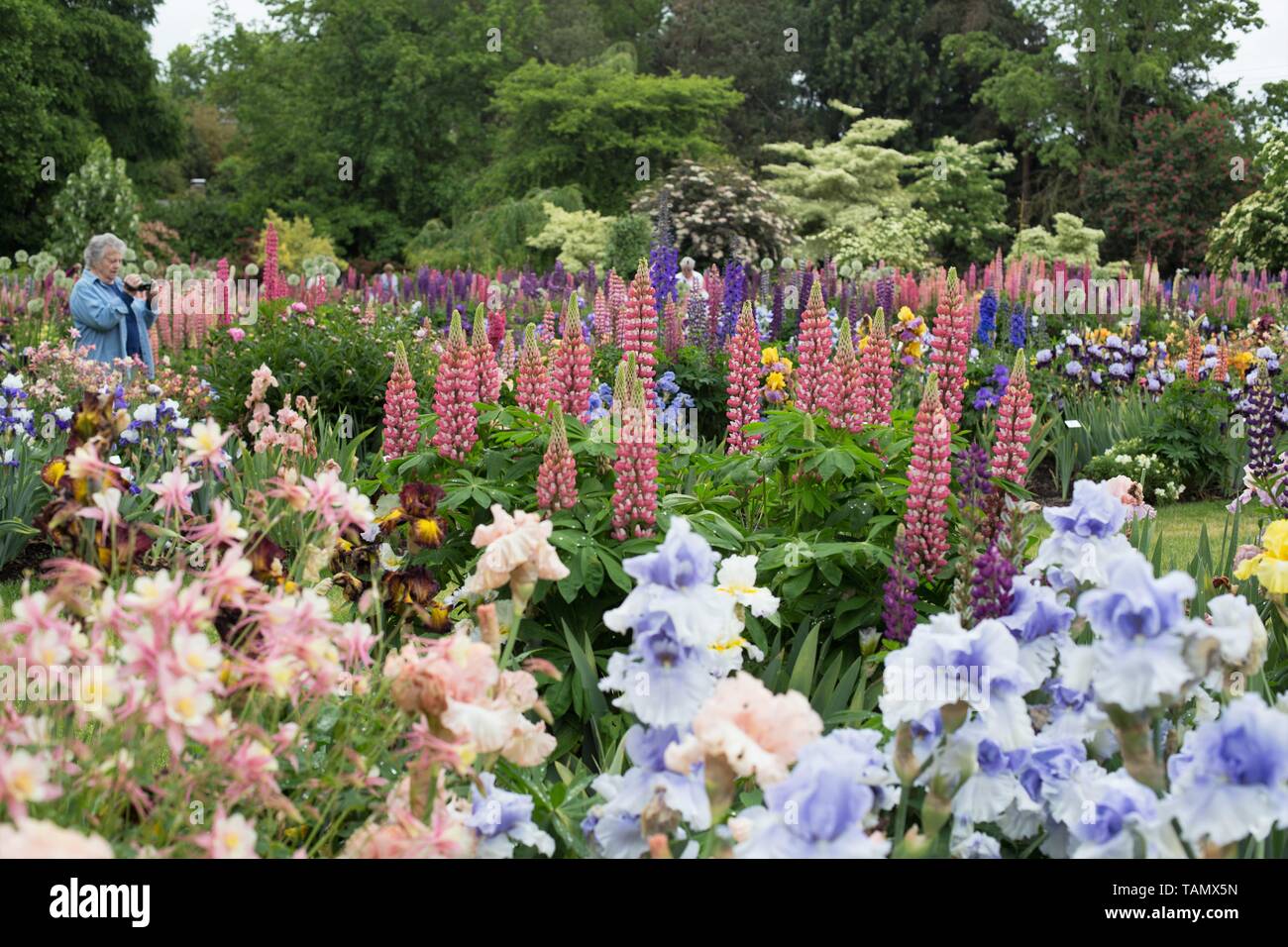 Schreiners iris gardens hires stock photography and images Alamy