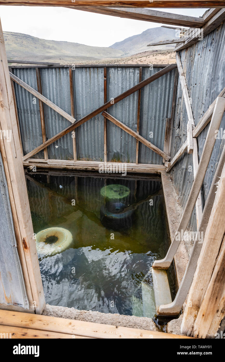 Concrete soaking pool at Alvord Hot Springs. Harney County, Oregon