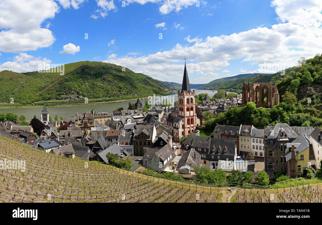 View from tower 'Postenturm' on Bacharach with Saint Peter church and Werner chapel, Upper Middle Rhine Valley, Rhineland-Palatinate, Germany Stock Photo