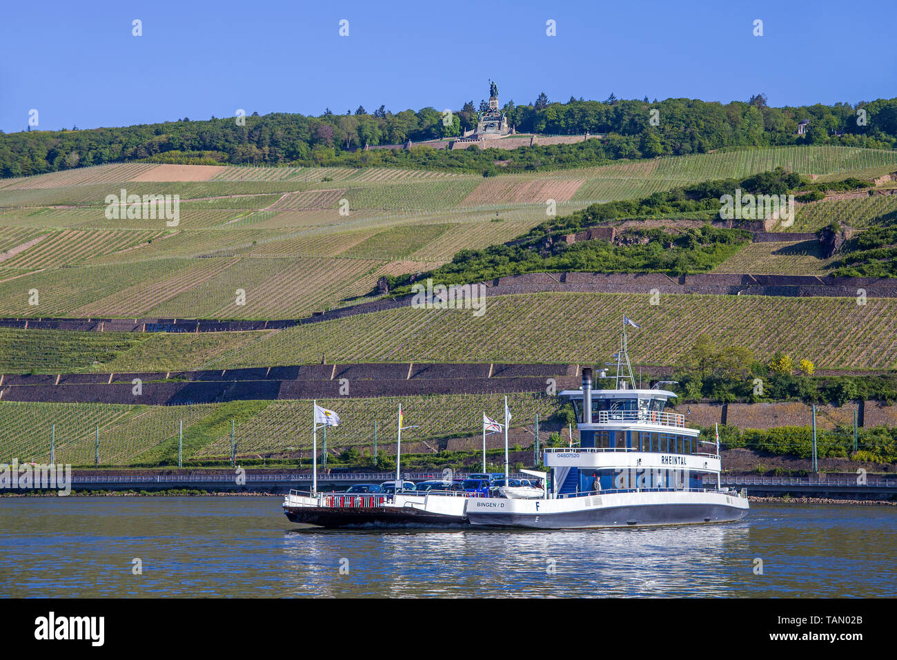Car ferry from Bingen to Rüdesheim, above the Niederwalddenkmal, Unesco world heritage site, Upper Middle Rhine Valley, Rhineland-Palatinate, Germany Stock Photo