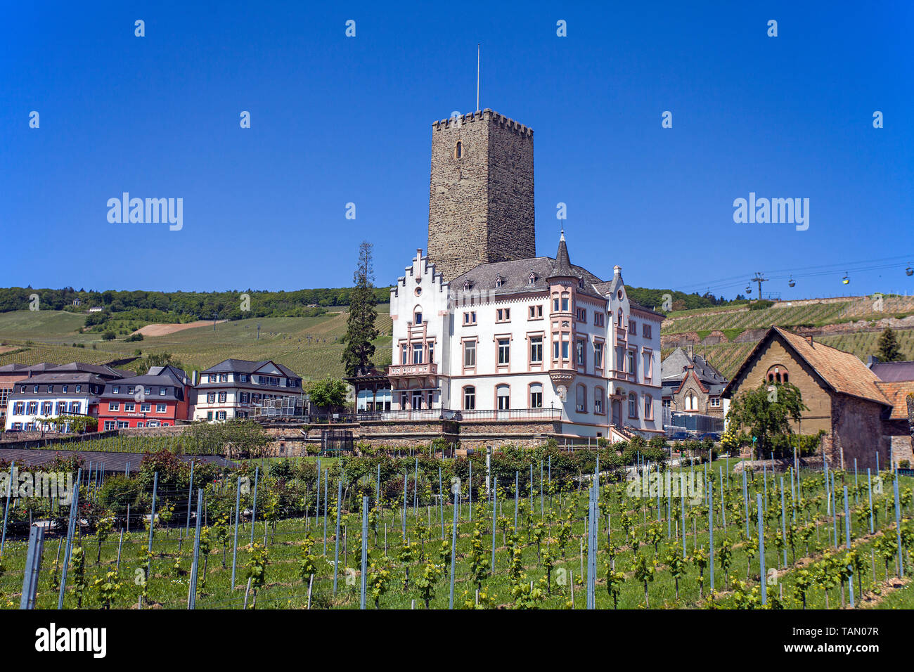 Boosenburg castle at Ruedesheim, Unesco world heritage site, Upper Middle Rhine Valley, Rheingau, Hesse, Germany Stock Photo