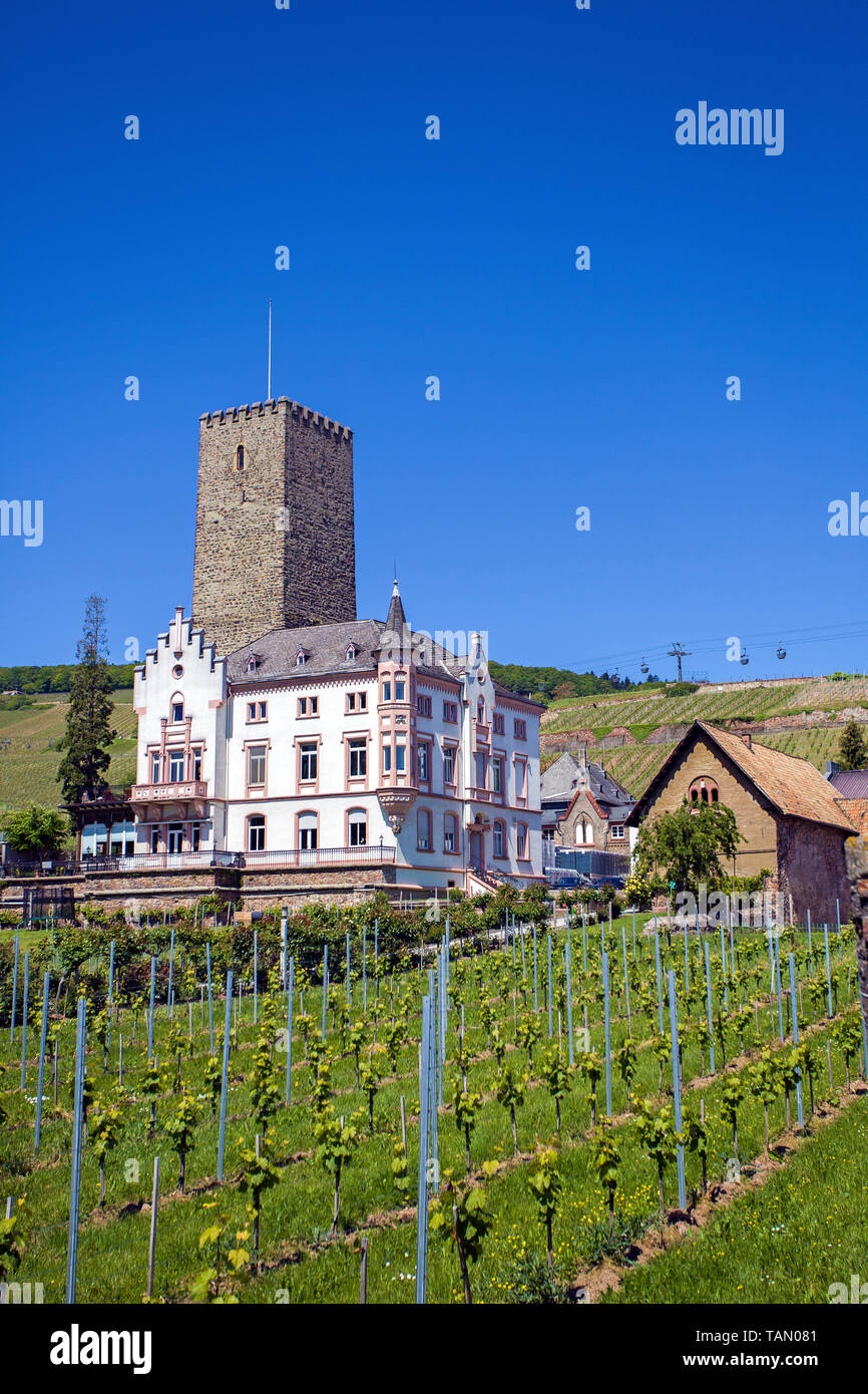 Boosenburg castle at Ruedesheim, Unesco world heritage site, Upper Middle Rhine Valley, Rheingau, Hesse, Germany Stock Photo