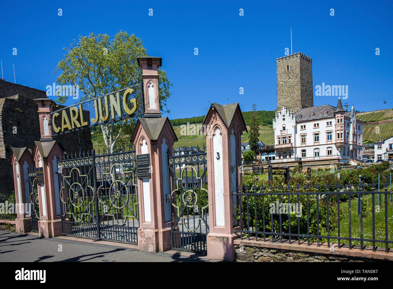 Weingut Jung und die Boosenburg in Rüdesheim am Rhein, Rheingau-Taunus-Kreis, Oberes Mittelrheintal, Hessen, Deutschland | Vineyard Jung and Boosenbur Stock Photo