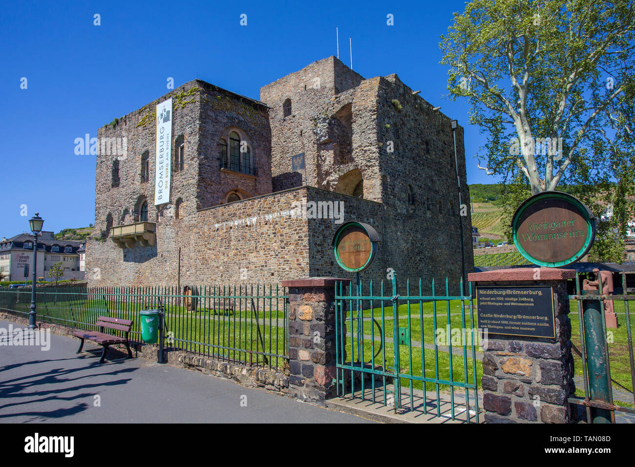 Brömserburg, castle at Ruedesheim, Unesco world heritage site, Upper Middle Rhine Valley, Rheingau, Hesse, Germany Stock Photo