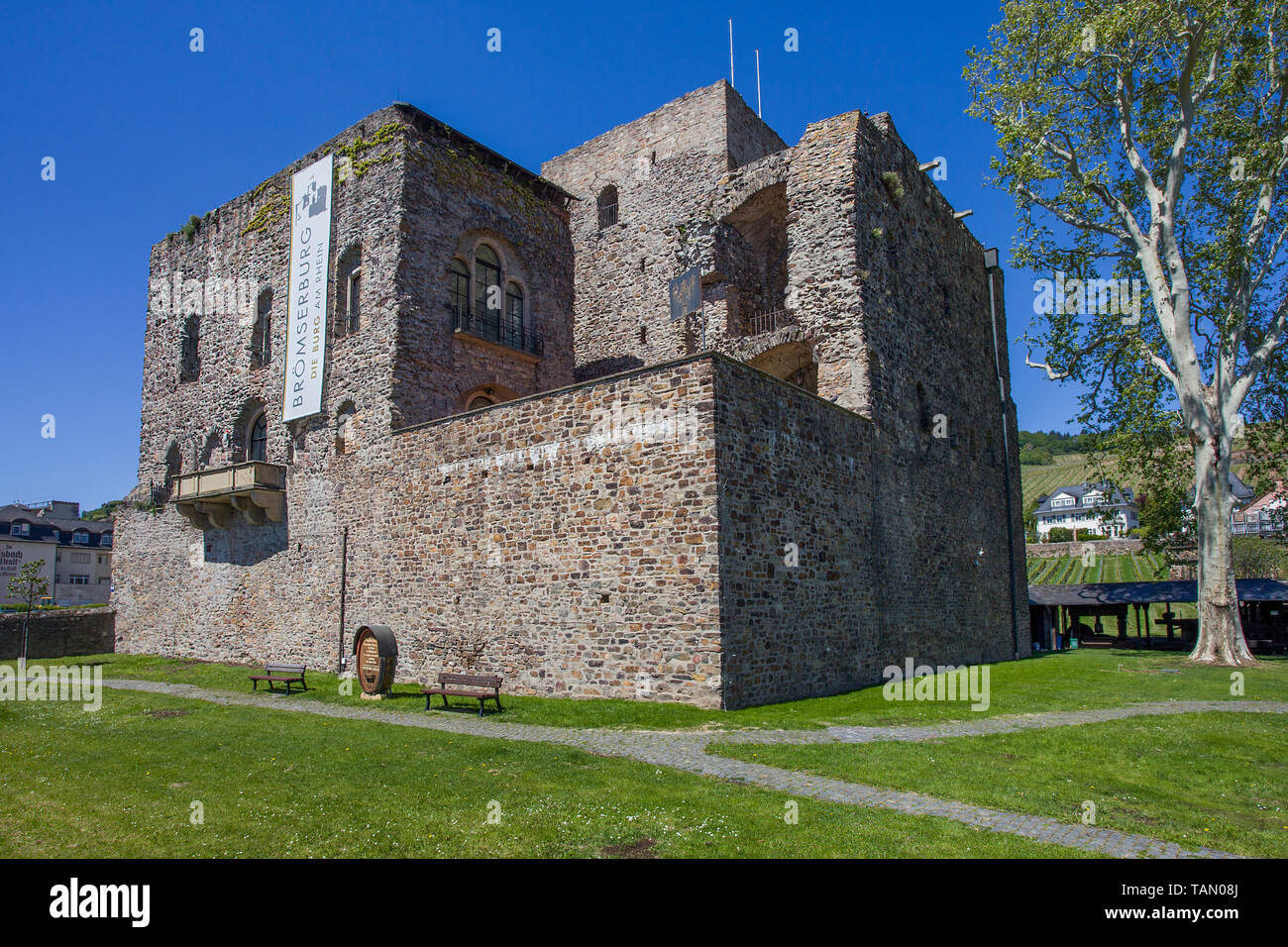 Brömserburg, castle at Ruedesheim, Unesco world heritage site, Upper Middle Rhine Valley, Rheingau, Hesse, Germany Stock Photo