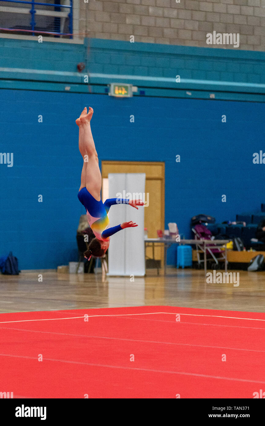 Various gymnasts competing for the NDP qualification in British