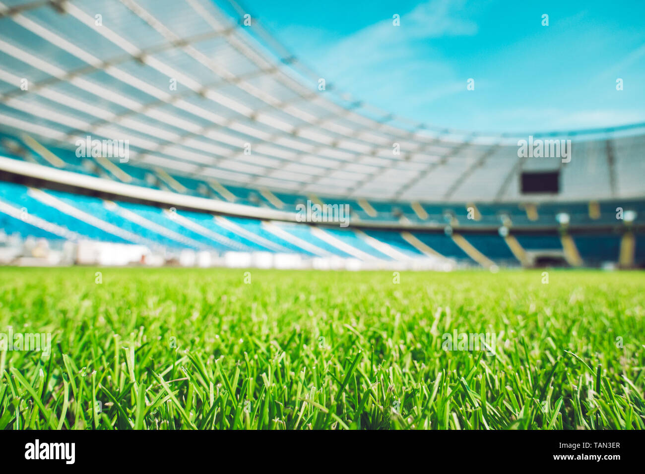 Close up macro of soccer or football field. Stock Photo