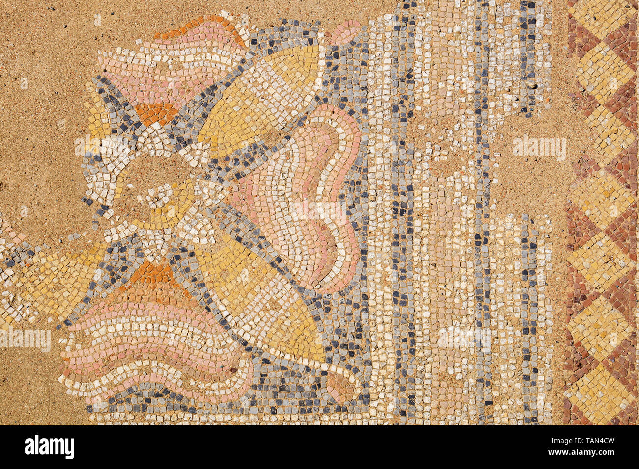 Fragment of antique mosaic in the Archaeological park of Dion. Pieria, Macedonia, Greece Stock Photo