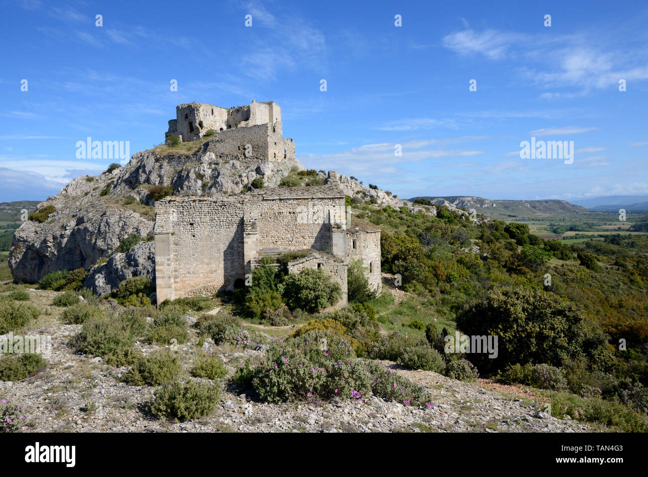 Roquemartine Castle, Château de Roquemartine or Castellas de Roquemartine & Flowering Small-flowered Cistus in Garrigue Eyguières Alpilles Provence Stock Photo