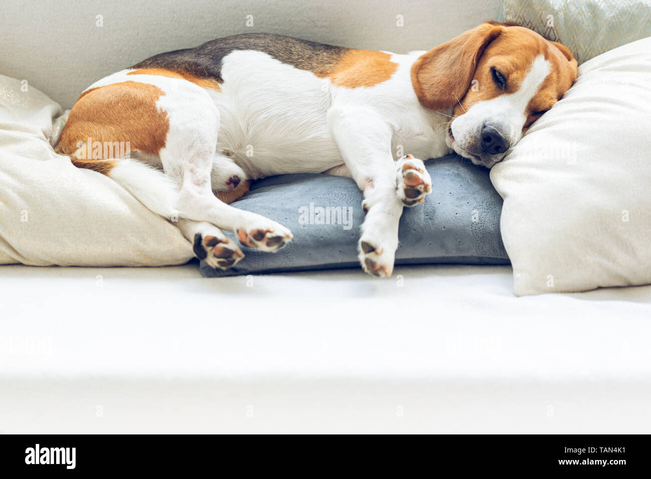 Dog sleeping pillow hot sale