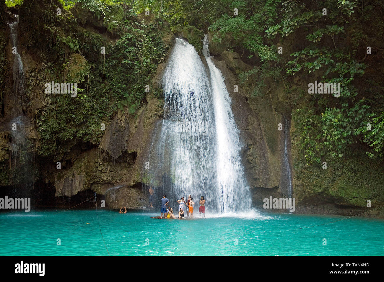 Die Kawasan-Wasserfälle im Dschungel, Cebu, Visayas, Philippinen | Kawasan falls at jungle, Cebu, Visayas, Philippines Stock Photo