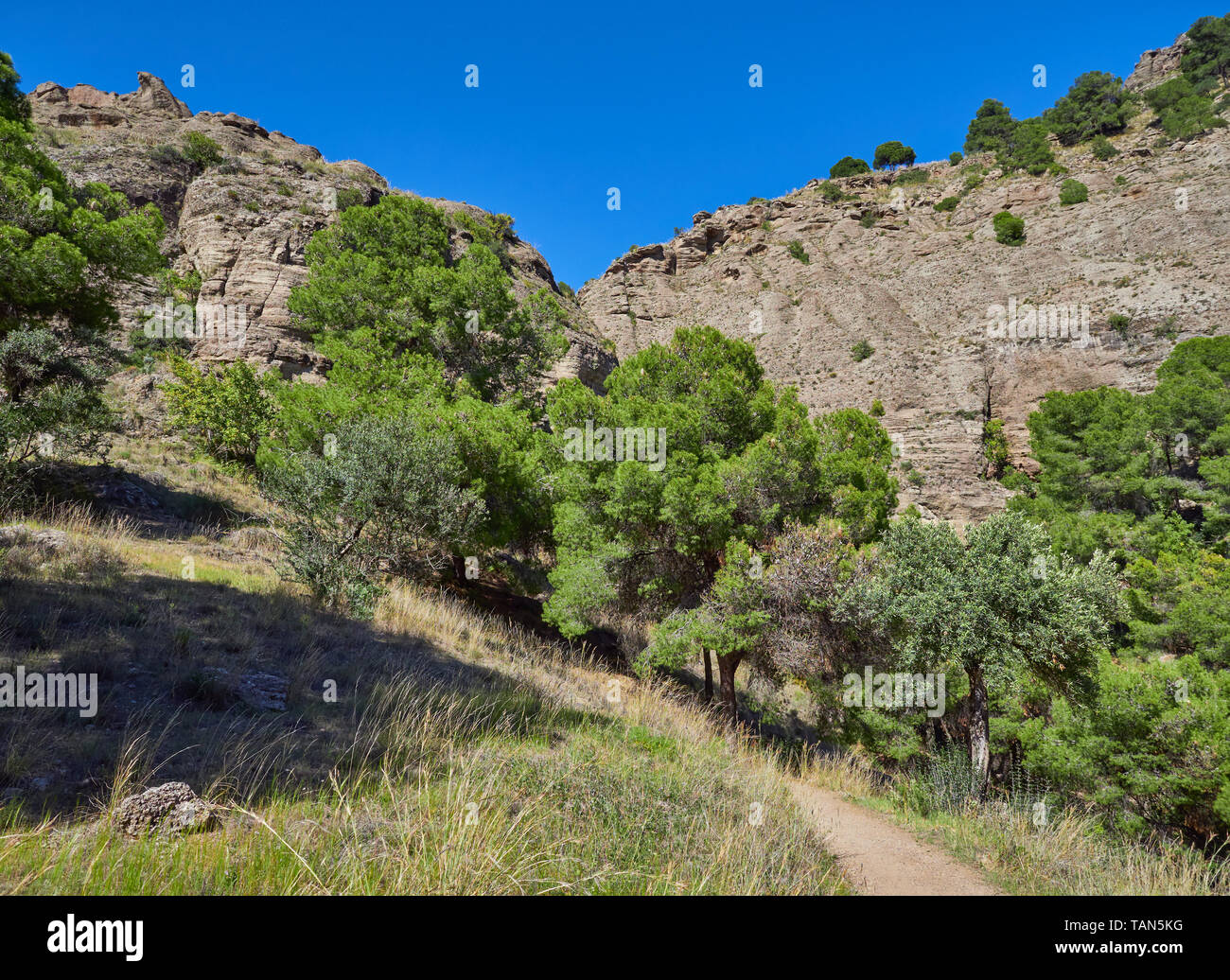The Sendero el Santo Footpath wending its way up the Hillside in ...