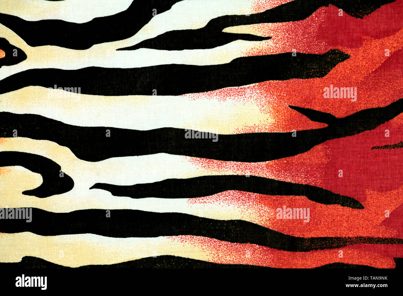 Leopard White Fur Africa Black Striped Backgrounds Zebra